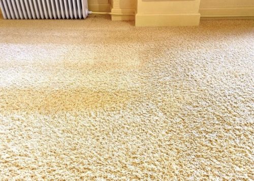 Rene væg til væg tæpper på kontoret