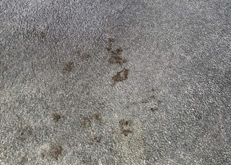 Tæpperensning ønskes hurtigt