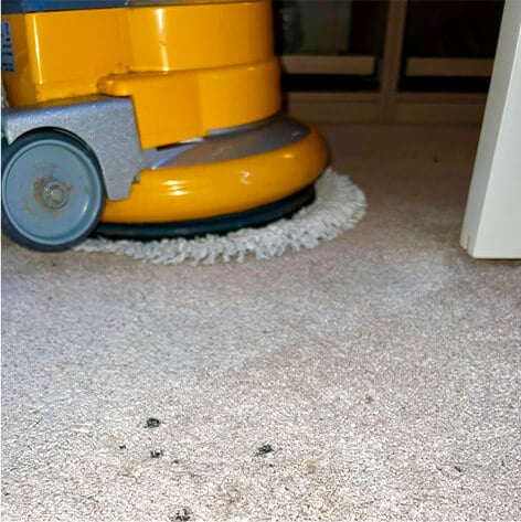 Rens af væg til væg tæpper